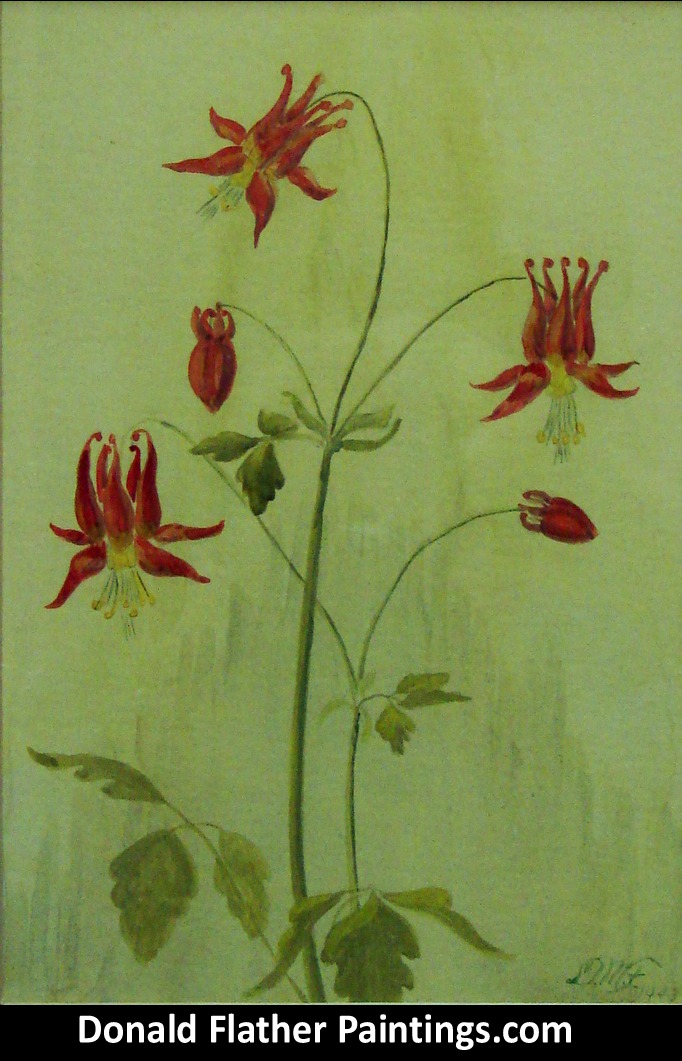 Dr. DM (Donald McIntosh) Flather original Canadian oil floral Untitled Still Life painting